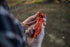 Stansport 5-in-1 Plastic Survival Whistle (622)