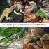 Bearded Dragon Sling Carriers with Leash Harness, Adjustable Harness with Leather Wings and Sling Bag for Outdoor Use