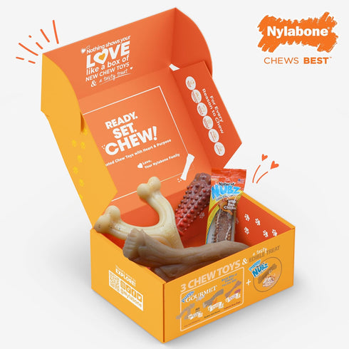 Nylabone Dog Toy Gift Box - Includes 3 Strong Chew Toys and 1 Dog Treat, Chew Toys for Large Dogs, Large/Giant (4 Count)