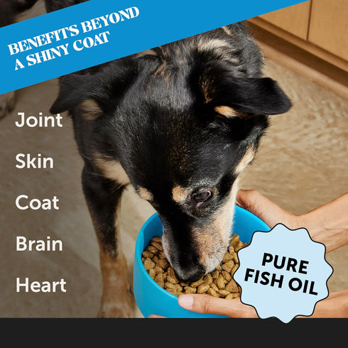 Pet Honesty Wild Alaskan Salmon Oil - 32oz Omega-3 Fish Oil for Dogs and Cats for Skin and Coat health