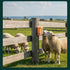 U0U 2 4 lb Pcs Salt Block Holder for Deer Blocks,Rust Resistant Mineral Block Holder,Salt Lick Block Holder for Horses
