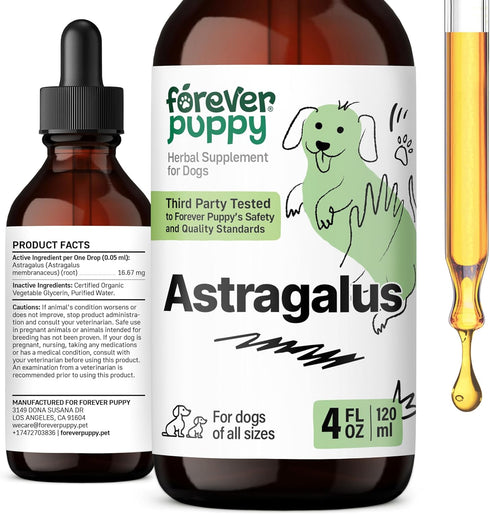 Astragalus Root for Dogs, Immune Support Pet Supplements with Liquid Extract, Herbal Vitamins for Immunity - Joyful Pet