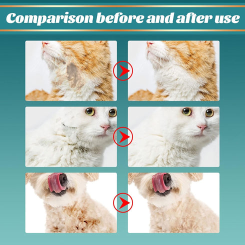 Pet Rinse Free Grooming Gloves, 10Pcs Wash Free Wipes for Dogs & Cats, Cleansing Grooming with Plant Extract