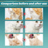 Pet Rinse Free Grooming Gloves, 10Pcs Wash Free Wipes for Dogs & Cats, Cleansing Grooming with Plant Extract