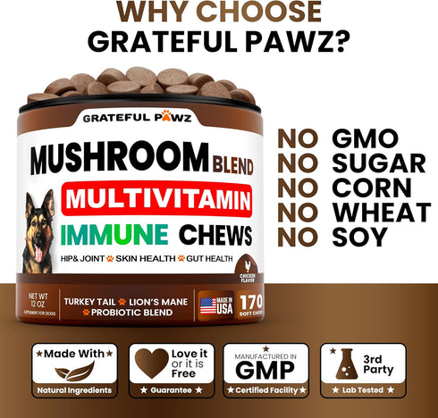170 Immune Turkey Tail Mushroom Supplement for Dogs - Chews - Mushrooms for Dogs - Reishi, Lions Mane, Glucosamine