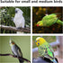 2Pcs Suction Cup Bird Perch, Wooden Parrot Window/Mirror/Car/Travel/Shower Perches for Small and Medium Birds (Pink)