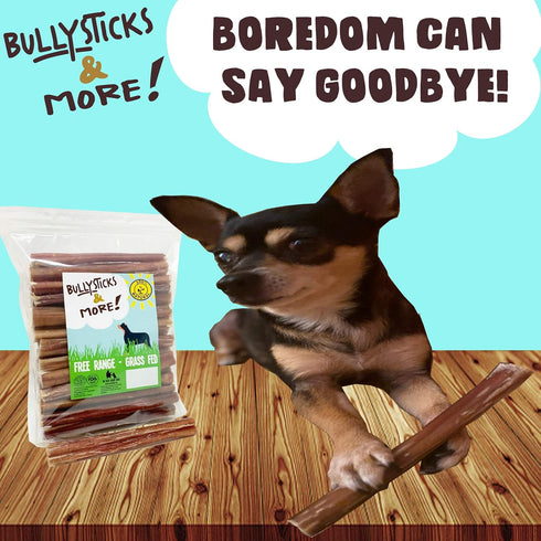 6 Inch Bully Sticks (Jumbo/Thick - 12 Count) | 100% Grass Fed Beef Chews for Large Dogs | No Hide Bully Bones