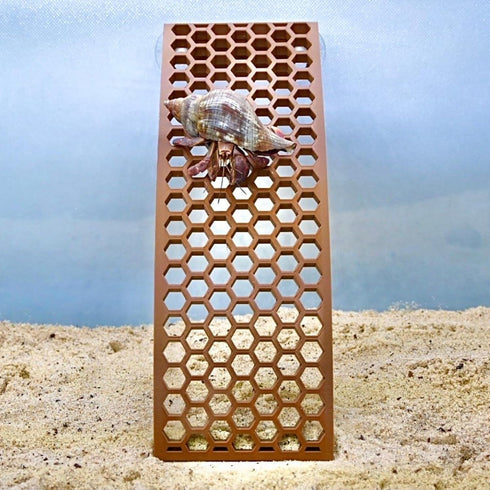 Lucky Critter Hermit Crab Ladder Ramp Climbing Toy | Hermit Crab Tank Enrichment Decor | Hermit Crab Decoration