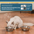 PEGGY11 Lightweight Stainless Steel Cat Bowl, 1.8 Cup, Single Pack