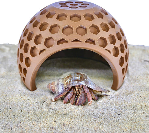 Lucky Critter Hermit Crab Climbing Coconut Hideout Hut | Hermit Crab Climb