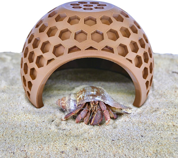 Lucky Critter Hermit Crab Climbing Coconut Hideout Hut | Hermit Crab Climb