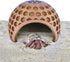 Lucky Critter Hermit Crab Climbing Coconut Hideout Hut | Hermit Crab Climb