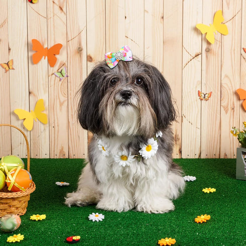 Waydress 40 Pieces Easter Dog Bows, Rabbit Bunny Egg Hair Bowknot, Handmade Dog Easter Grooming Accessories