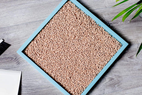 Hinoki Wood Cat Litter Recycled Ultra Lightweight, Fresh Natural Scent of Japanese Cypress, Clumping Dust Free