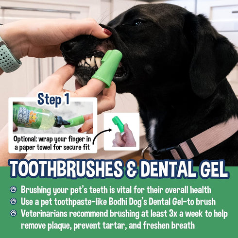 (50 Count) Bodhi Dog Finger Toothbrush for Dogs & Cats - Puppy Toothbrush with Soft Flexible Silicone Bristles, Gentle
