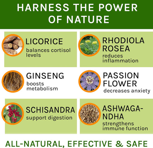 ?dr?n?l Balance for Dogs and Cats - Best Cushings Treatment with Ashwagandha, Licorice Root, Rhodiola Rosea - 2oz