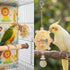 Hpmjz 2 Pcs Bird Toys for Parakeets, Colorful Spin Wheel Toy, Interactive Bird Educational Toy for Small Birds Bird