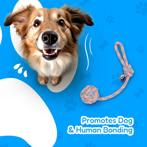 Pacific Pups Large Dog Toys 4 Piece Dog Toy Set for Aggressive Chewers, Dog Tug of War Toys for Large Dogs