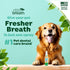 TropiClean Fresh Breath Oral Care Spray for Dogs & Cats | Dog Breath Spray | Mint Breath Freshener, 4 oz