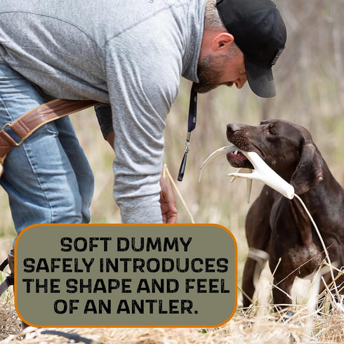 DogBone Shed Dog Training System, Hunting Dog Accessories, Training Kit, Scent Training Tools for Dogs