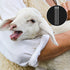 50 Pieces Disposable Artificial Insemination Rods, Flexible Breeding Catheter Tube for Dog Goat Sheep (White, 10.8
