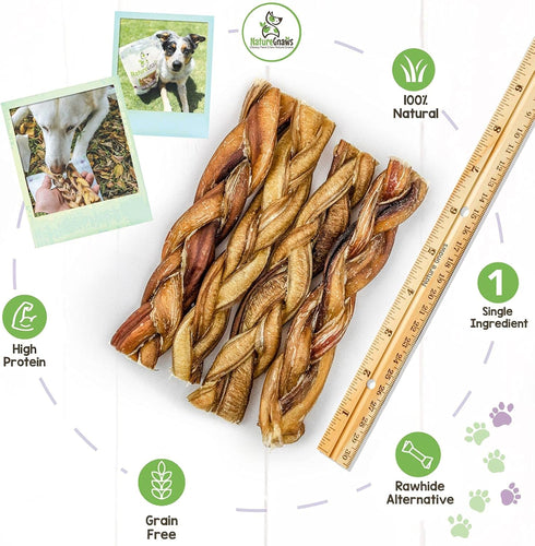 Nature Gnaws Braided Bully Sticks for Dogs 5-6" (10 Count) - Long Lasting Natural Beef Chew Bones