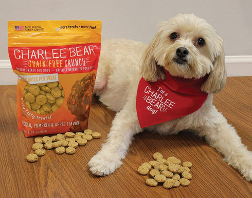 Charlee Bear Crunch Chicken, Pumpkin & Apple Flavor Dog Treat - 6 Pack, 8 oz Each