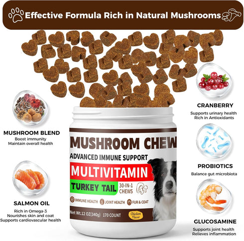 BevinMugford 170 Count Immune Turkey Tail Mushroom for Dogs, Mushroom Chews for Dogs, Chicken Flavor Mushroom