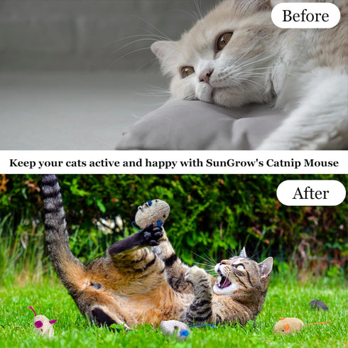 SunGrow Cat Catnip Mice Toys, Furry Plush, 2”, 10 Pcs per Pack, Interactive, Multicolor
