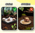 Hermit Crab Food Bowl with Grid,Large Capacity, Less Prone to Tipping Over for Reptile & Small Animal Tanks Hermit Crab