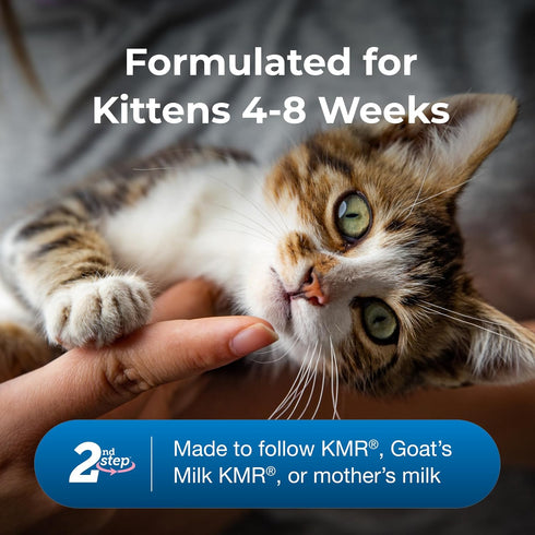 PetAg KMR Kitten Weaning Food, 2nd Step, 14 oz, Powdered Formula with DHA, Natural Milk Protein