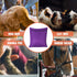 AUXSOUL 1 Pack Pet Laundry Bag, Big Size Wash Bag for Dog Cat Horse, Stops Pet Hair from Blocking Washing Machine