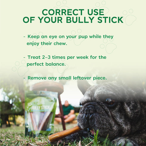 6 Inch 8oz MASSTICK Normal Bully Sticks for Dogs Thick Minimal Odor Beef Dog Chews Fully Digestible Chew Sticks