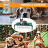 K&H Pet Products Cooling Elevated Dog Bed, Medium, Outdoor Raised Cot with Washable Mesh, Green/Black
