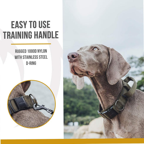 Tough Tactical Dog Collar with Handle, Military Adjustable Collar with Heavy Duty Metal Buckle, Large, Green