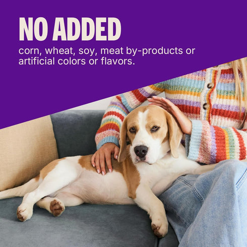 3 oz Wellness Soft Puppy Bites Dog Training Treats, Natural, Grain Free, Lamb and Salmon Recipe, Bag