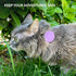 CollarDirect Cat Collar with Airtag Holder, ID Tag, and Bell - Breakaway Nylon Collar for Kittens and Cats (Violet, XS)