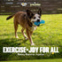 Gnawsome 6.5” Spiky Squeaker Bone Dog Toy, Medium, Durable for Heavy Chewers, 100% BPA-Free
