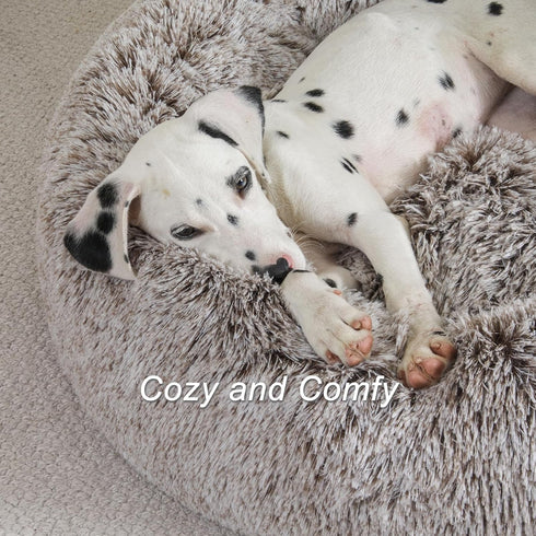 Jiupety Cute Round Calming Dog Bed, Plush Paw Shape Bed for Medium Large Breed Dogs, Soft and Cozy with Bolster, Gray