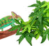 3 KATUMO Reptile Plants, PCS Amphibian Hanging Plants with Suction Cup for Snake, Bearded Dragons, Lizards, Geckos