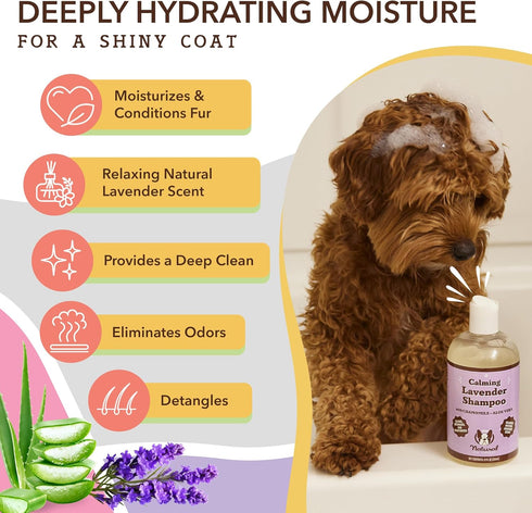 Natural Dog Company Calming Lavender Shampoo for Dogs, Hypoallergenic Deodorizing Shampoo for Sensitive Skin, 12 oz