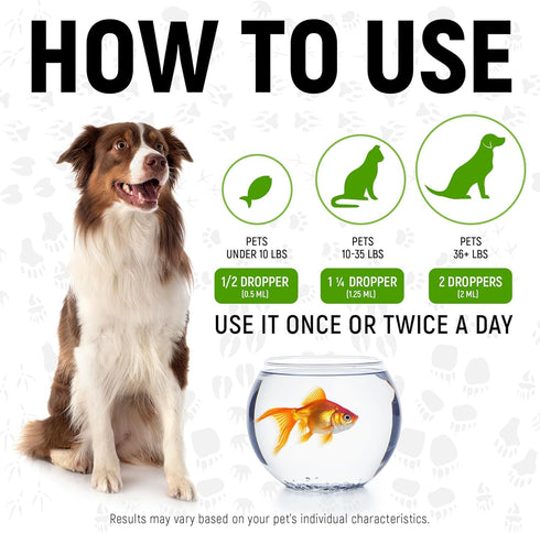 2-oz Herbal Pet Antibiotics for Rabbits, Reptiles, Turtles, Guinea Pigs, Fish Chicken Antibiotics in Liquid for All