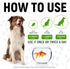 2-oz Herbal Pet Antibiotics for Rabbits, Reptiles, Turtles, Guinea Pigs, Fish Chicken Antibiotics in Liquid for All