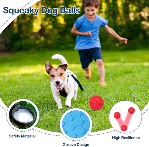 CHEODIN 2 Pack Indestructible Squeaky Dog Balls for Aggressive Chewers, Interactive Dog Toys for Teething, Relieving