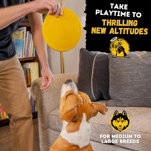 Indestructible Dog Disc, Lifetime Replacement, Heavy Duty Natural Rubber Toy for Medium & Large Breeds