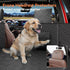 Wexyldra Dog Car Seat Cover for Back Seat- Heavy Duty Waterproof- Hard Bottom Backseat Extender Fits Sedan SUV & Small