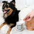 Pet-Pourri Pet Odor Freshener Candle, Pawsitively Fresh, 7.5 Oz - Jasmine, Fresh Air and Pear, Veterinarian Recommended