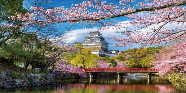 AWERT 24x16 inches Spring Nature Aquarium Background - Spring Pink Flowers Cherry Japanese Temple Vinyl