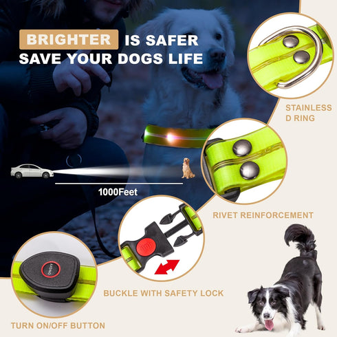 LED Pet Collars, USB Rechargeable Light Up Dog Collars, Waterproof and Adjustable for Small Medium Large Dogs, Night