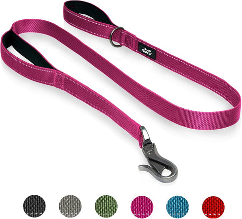 TwoEar 4FT 1IN Strong Rose Dog Leash, 2 Padded Handles, Traffic Handle for Extra Control, Reflective Lead for All Dogs